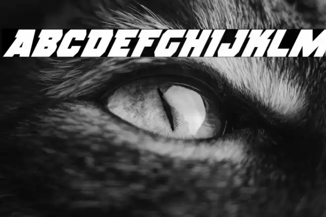 Rogue Hero Super-Italic Font examples