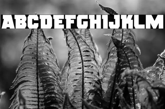 Rogue Hero Font examples