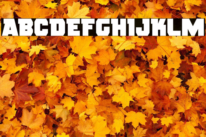 Rogue Hero Example 3