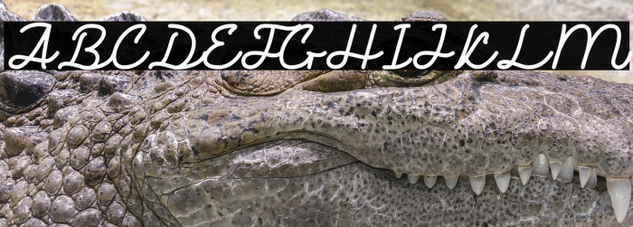 Rogue One Personal Use Example 2