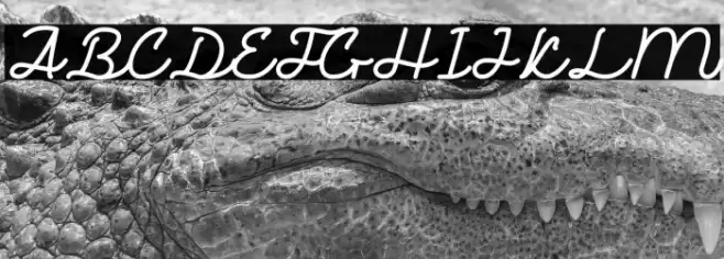 Rogue One Personal Use Font examples