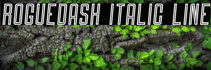 Roguedash Italic Line Example 1