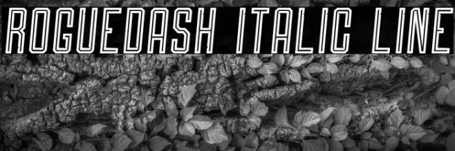Roguedash Italic Line Font examples