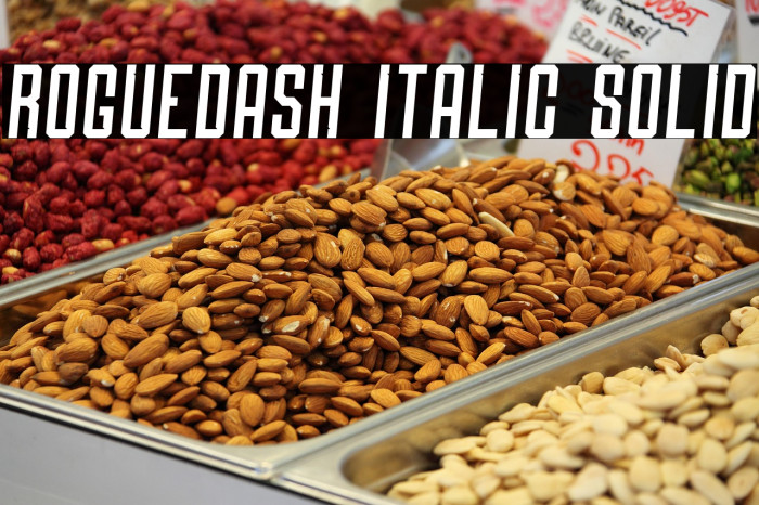 Roguedash Italic Solid Example 1