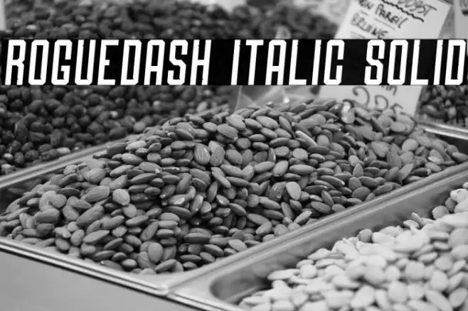 Roguedash Italic Solid Font examples