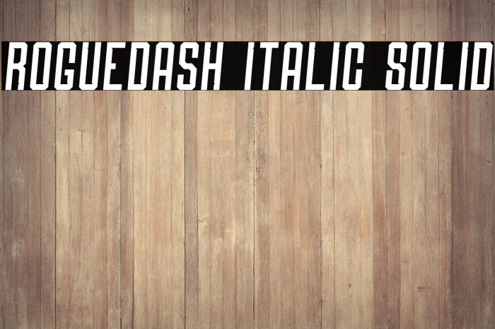 Roguedash Italic Solid Example 2