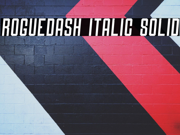 Roguedash Italic Solid Example 3