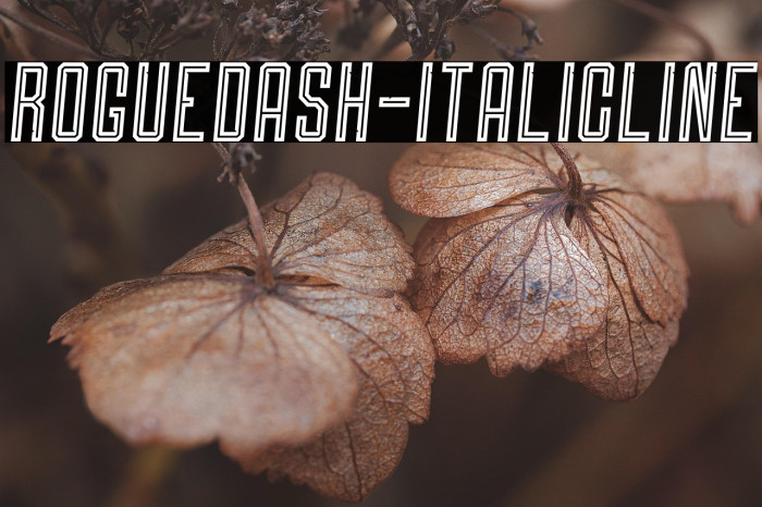 Roguedash-ItalicLine Example 2