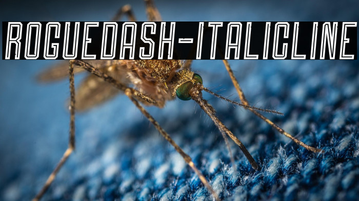 Roguedash-ItalicLine Example 3
