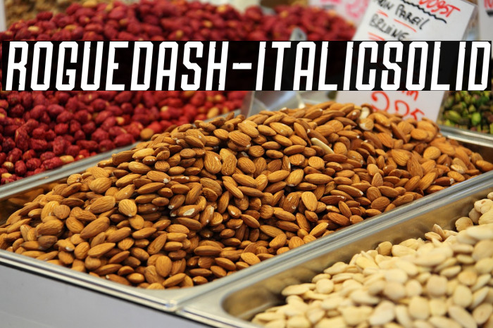 Roguedash-ItalicSolid Example 2