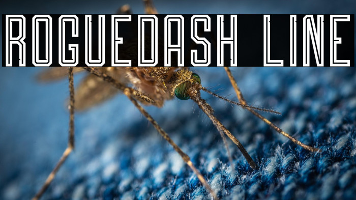 Roguedash Line Example 3