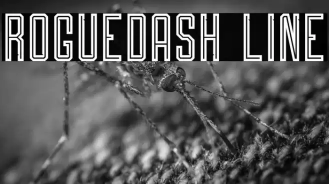 Roguedash Line Font examples