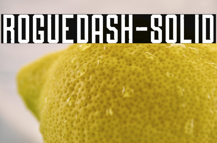 Roguedash-Solid Example 1