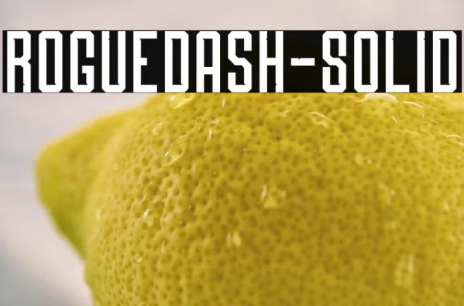 Roguedash-Solid Example 1