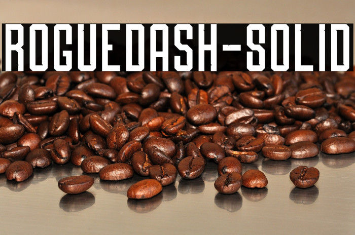 Roguedash-Solid Example 2