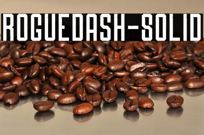 Roguedash-Solid Example 2