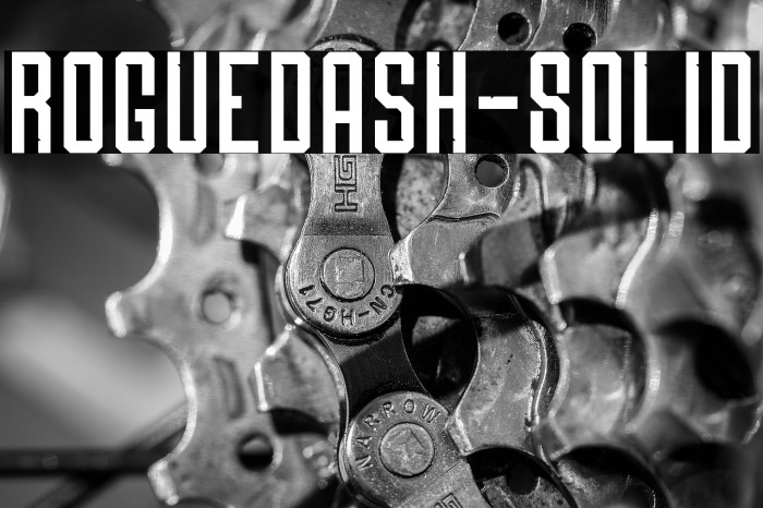 Roguedash-Solid Example 3