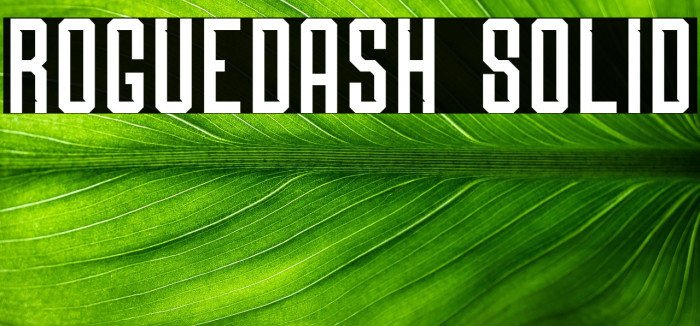 Roguedash Solid Example 1