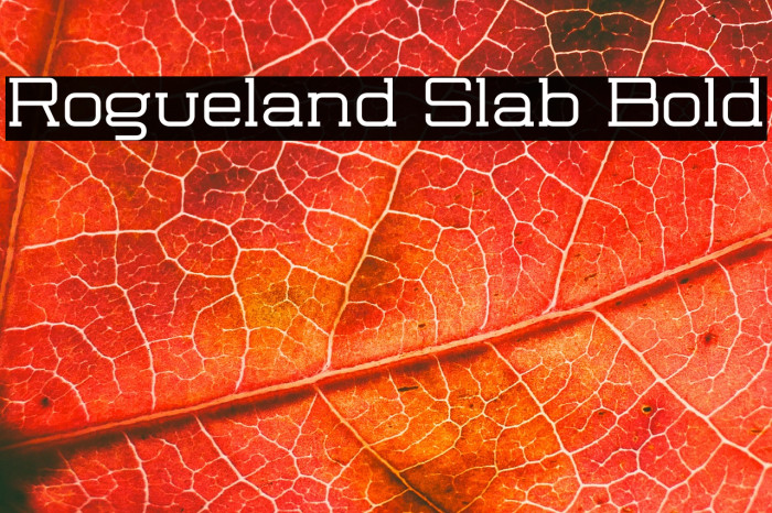 Rogueland Slab Bold Example 1