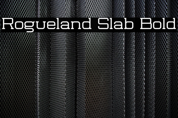Rogueland Slab Bold Example 2