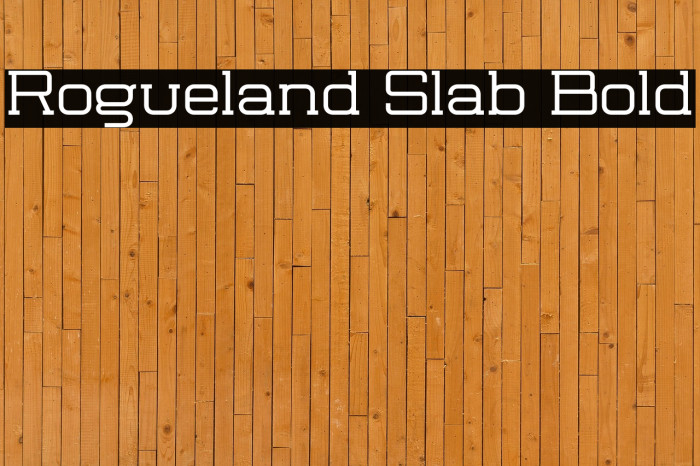Rogueland Slab Bold Example 3