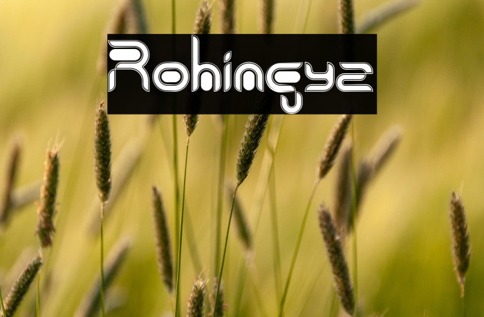 Rohingya Example 1