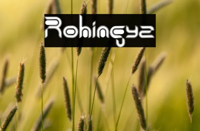 Rohingya Example 1