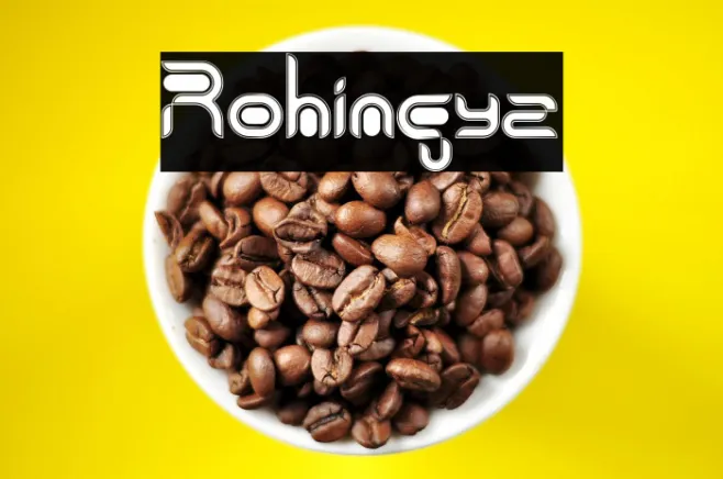 Rohingya Example 2