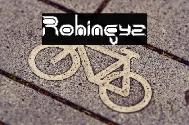 Rohingya Example 3