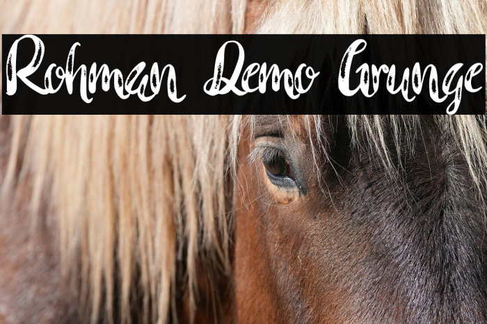 Rohman Demo Grunge Example 2