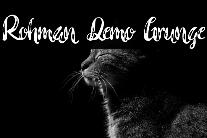 Rohman Demo Grunge Example 3