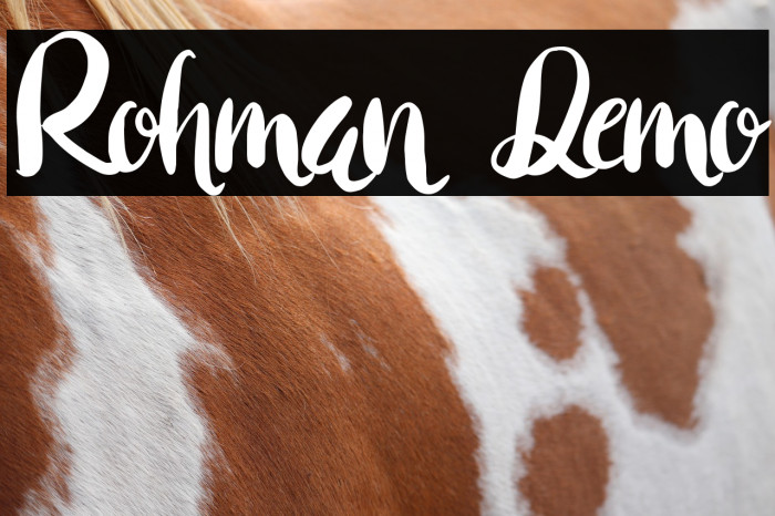 Rohman Demo Example 1