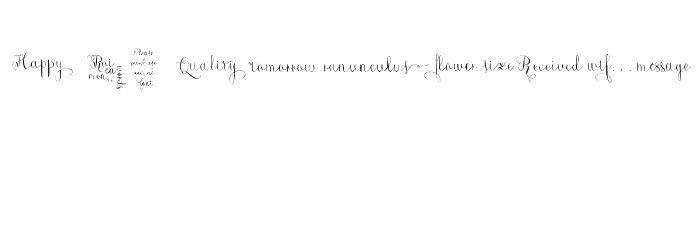 Roicamonta Words Font OTHER CHARS