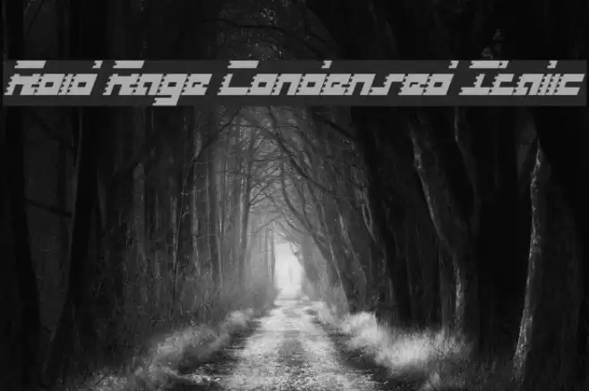 Roid Rage Condensed Italic Font examples