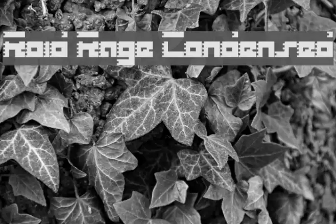 Roid Rage Condensed フォント examples