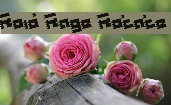 Roid Rage Rotate Font examples
