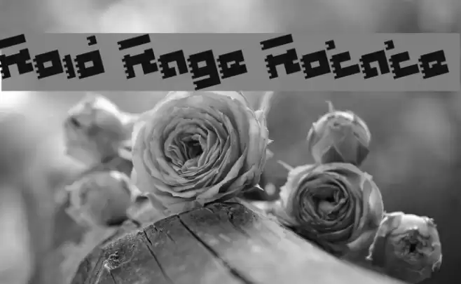 Roid Rage Rotate フォント examples
