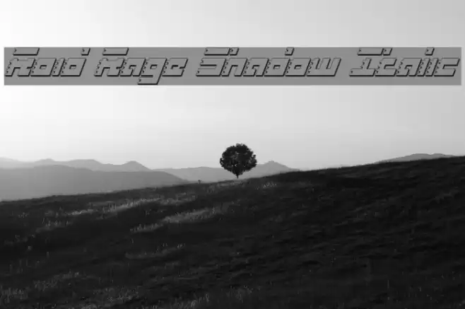 Roid Rage Shadow Italic フォント examples