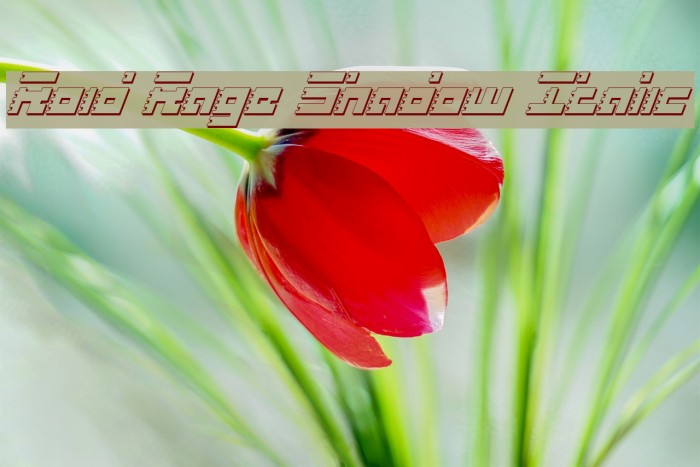 Roid Rage Shadow Italic Font examples