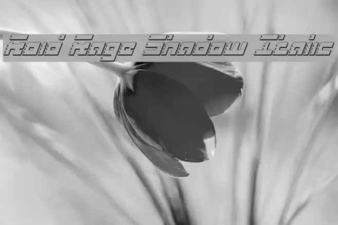 Roid Rage Shadow Italic フォント examples