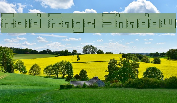 Roid Rage Shadow Font examples