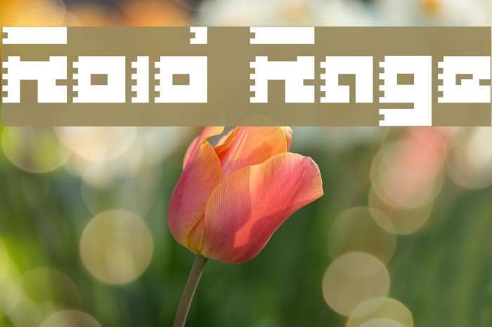 Roid Rage Шрифта examples