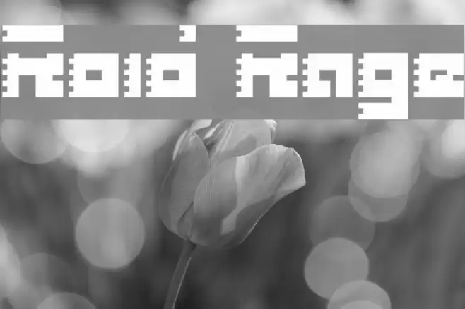 Roid Rage フォント examples
