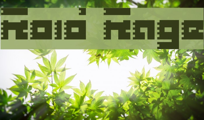 Roid Rage Шрифта examples