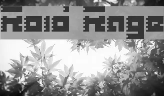 Roid Rage フォント examples