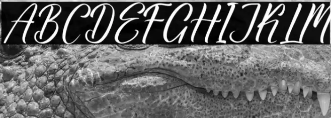 Roisthand Qabrilon DEMO VERSION Шрифта examples