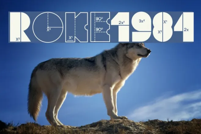Roke1984 Example 1