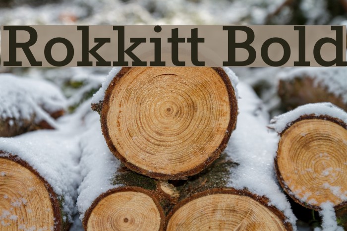 Rokkitt Bold Example 3