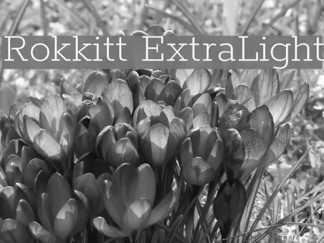 Rokkitt ExtraLight Font examples