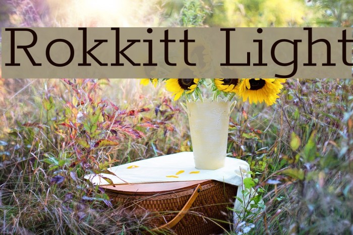 Rokkitt Light Font examples